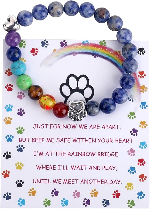 Rainbow Bridge Memorial Bracelet 7 Chakra Bead Gift for Pet Loss